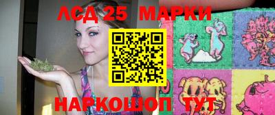 гидра Будённовск