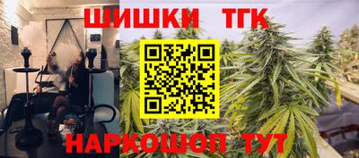 гидра Будённовск
