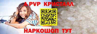 гидра Будённовск