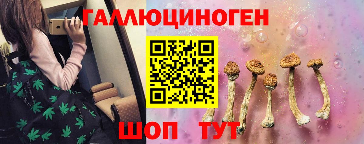 Галлюциногенные грибы GOLDEN TEACHER  Галлюциногенные грибы мицелий  Ногинск  где найти наркотики  Вход с VPN 