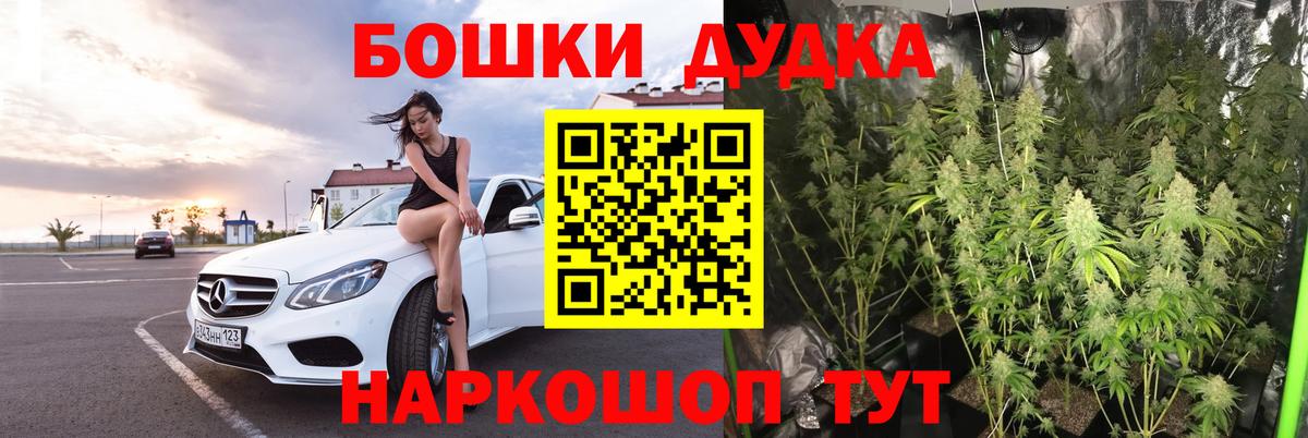 Шишки марихуана конопля Ногинск